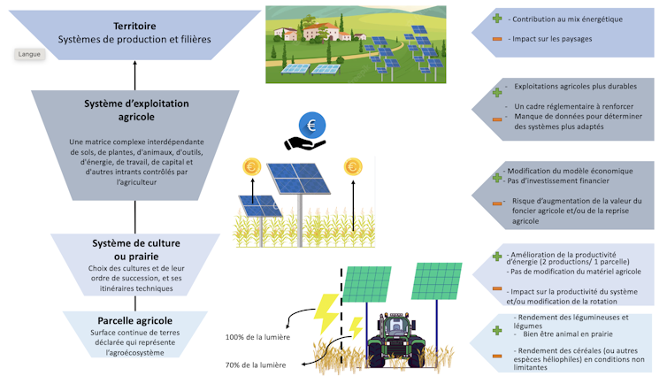 Une figure montrant les impacts de l’agrivoltaïsme sur les zones agricoles