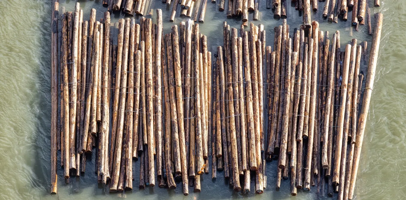 What log driving can teach us about forests, past and present