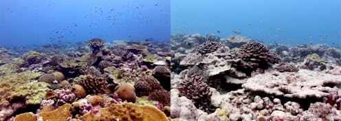 how scientists know the climate is changing