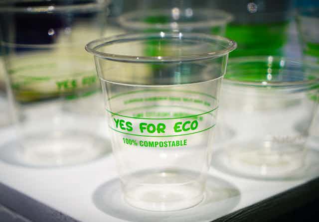 Want to be More Eco-Friendly? Stop Using Disposable Cups! - NO HARM DO