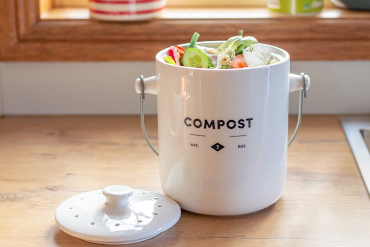 compost caddy