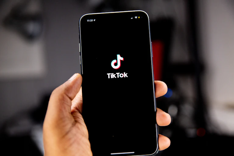 Ujaran kebencian marak di TikTok di Pemilu Malaysia