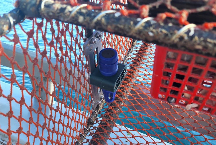 A sensor attached a commercial fishing pot.