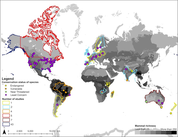 A map of the world showing the location of the roadkill studies.