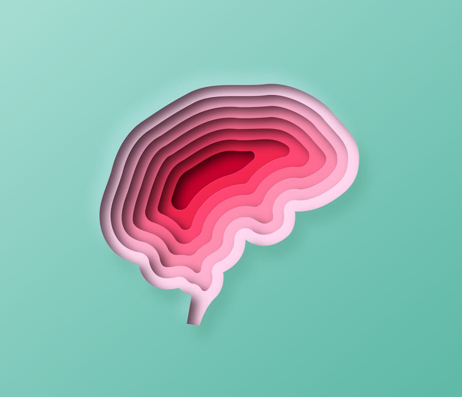 Illustration of human brain layers of increasing depth