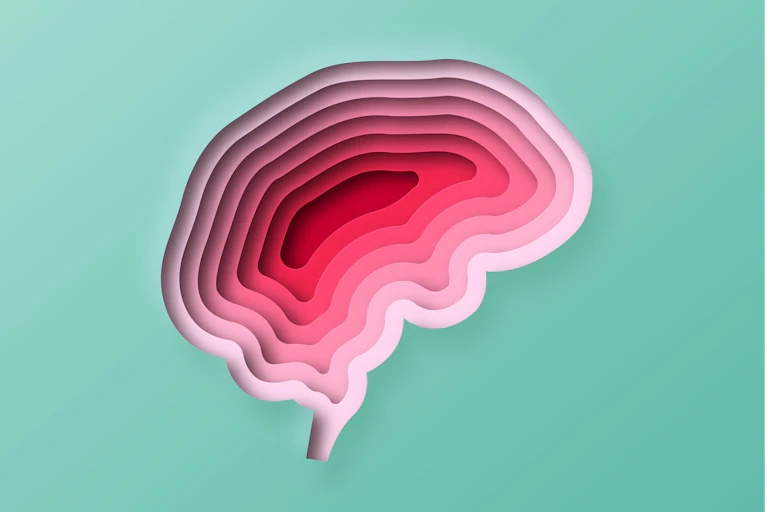 Illustration of human brain layers of increasing depth