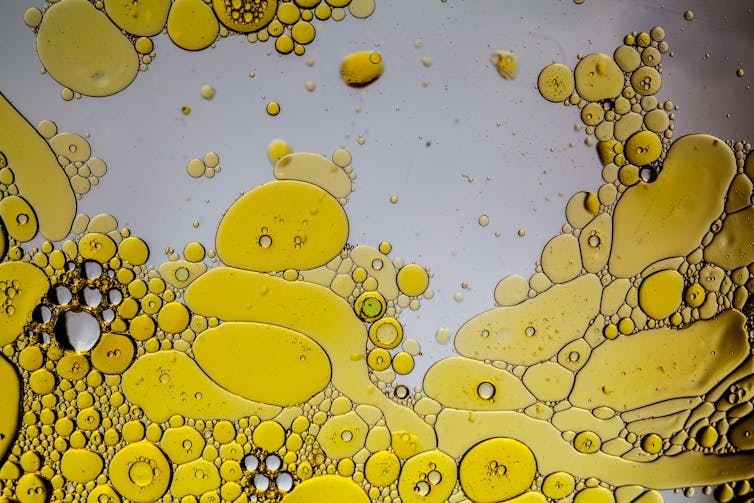 Close-up of oil droplets on water