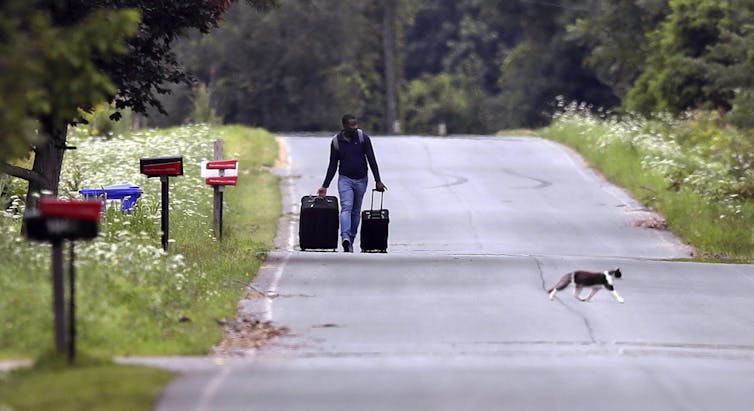 A man pulls his luggage down a country road as a white and grey cat trots past him.