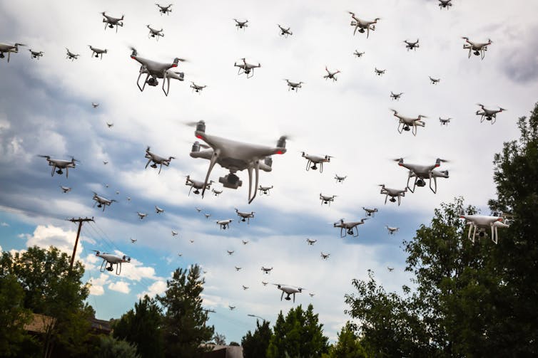 Dozens of drones fly over a line of trees.