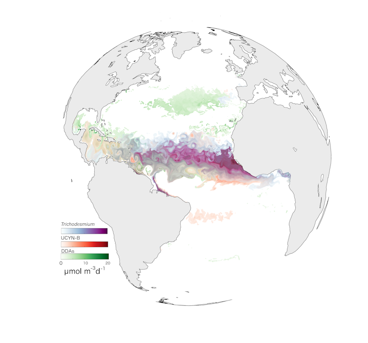 Représentation schématique de l’océan pacifique, avec des bandes de couleurs différentes s’étendant entre l’Amérique centrale et l’Afrique centrale, avec une autre bande moins étendue à la hauteur de l’espagne