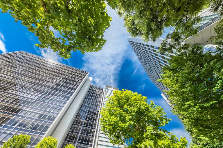Vue en plongée de gratte-ciel et d'arbres à feuilles caduques s'élevant vers un ciel bleu parsemé de nuages blancs.