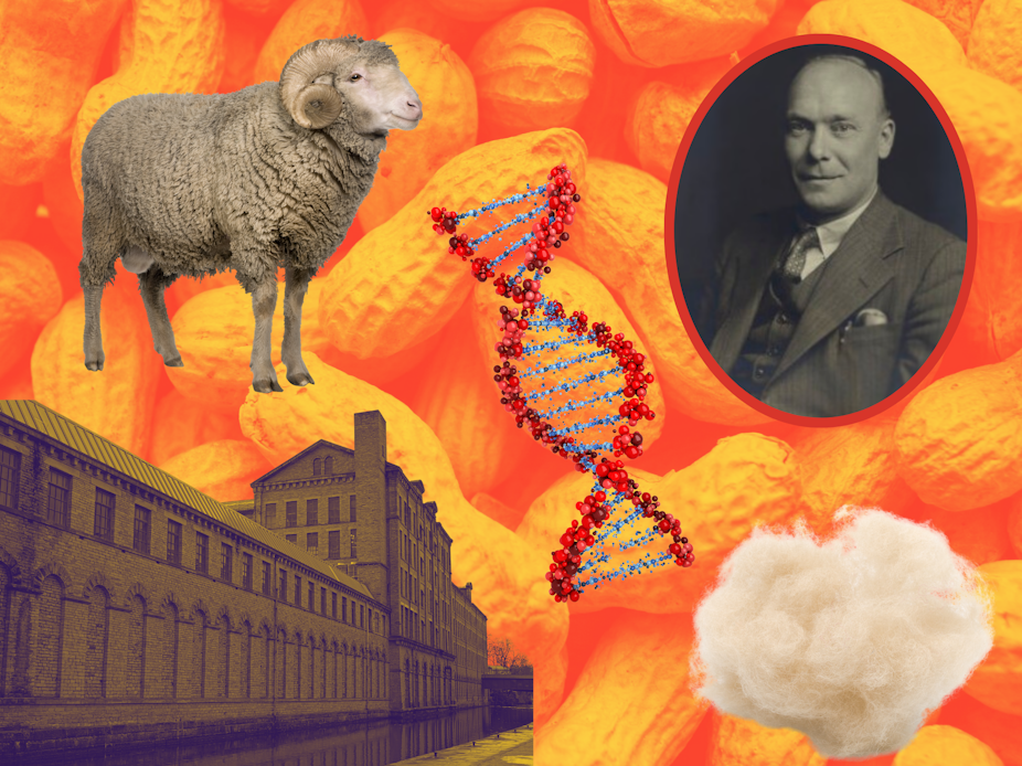 William Astbury, DNA, Wool, Sheep, Woollen mill building.