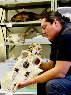 seated man holds horse's skull in his hands