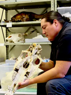 seated man holds horse's skull in his hands