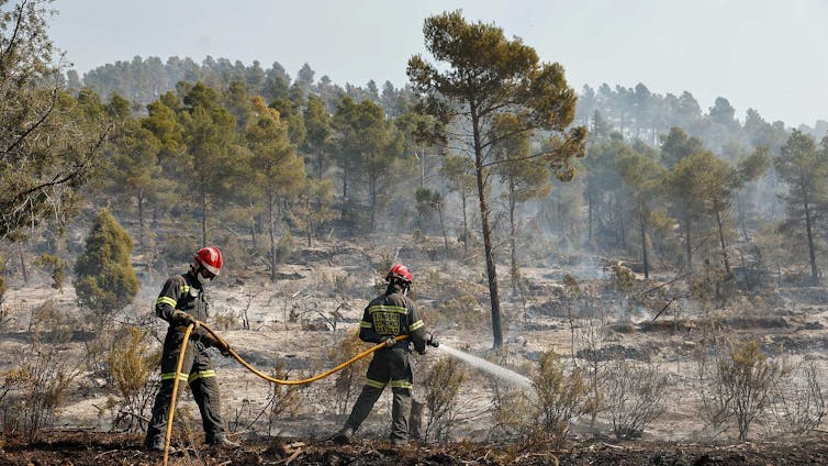 Dos bomberos sujetando una manguera en un paisaje quemado.