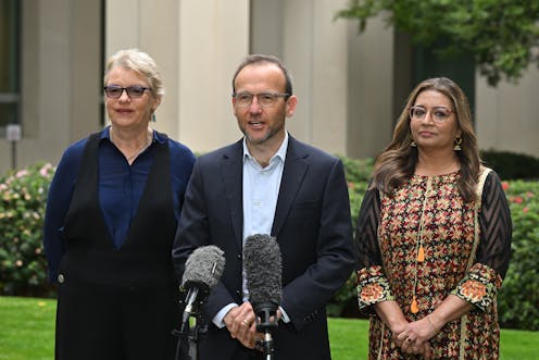 Safeguard deal shows Bandt's Greens party has come of age