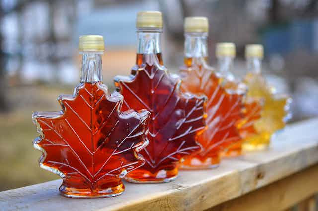 a row of maple-leaf shaped bottles with liquids of different shaped