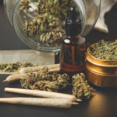 research paper topics related to marijuana