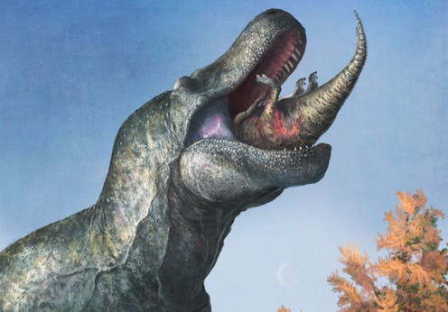 Newly discovered dinosaur had tiny arms like T. rex