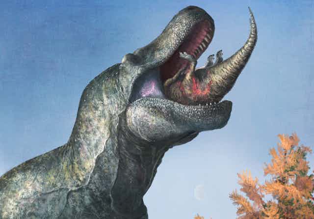 _Tyrannosaurus rex_ swallows a smaller dinosaur with lipped jaws.