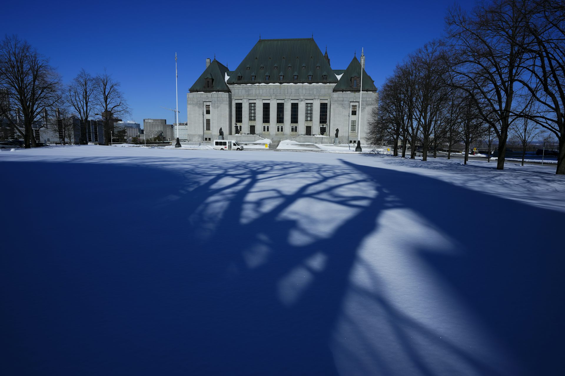 Shadows of tree limbs on the snow are seen in front of a stone court house.