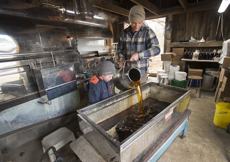 a man pours maple syrup into a metal trough