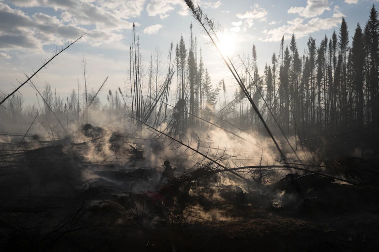 Smoke rising from a peatland on fire.