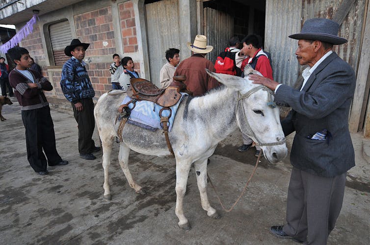 Men in hats stand around a saddled donkey outside a small building