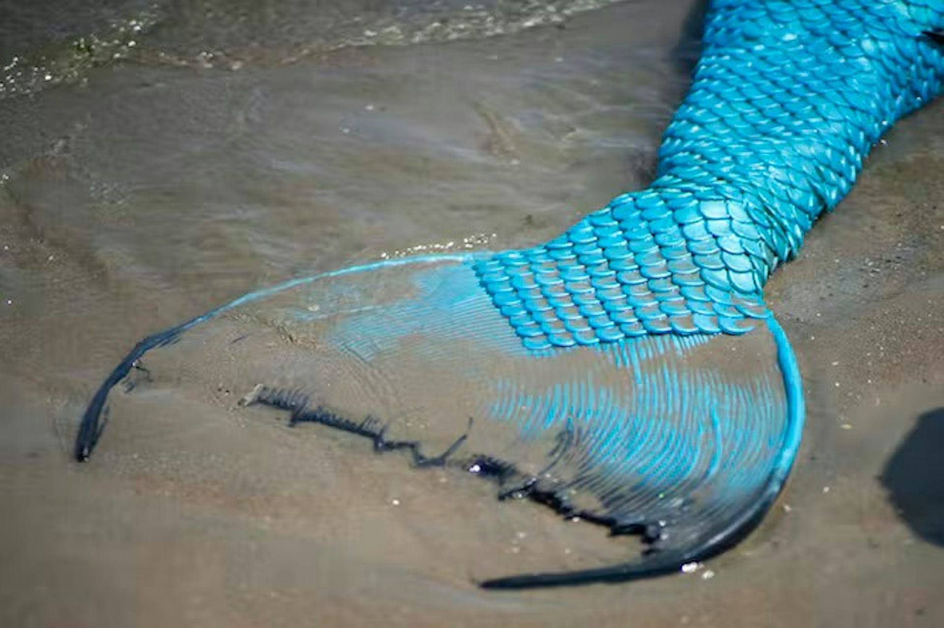 Apakah putri duyung itu ada? Tidak, namun pesonanya hidup selama berabad-abad