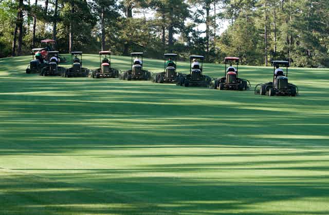 A fleet of lawn mowers on a gold course.
