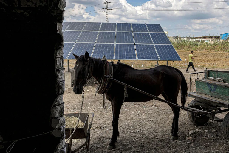 A horse stands next to solar panels
