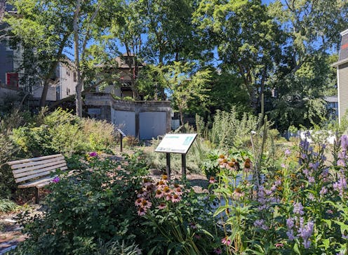 Food forests are bringing shade and sustenance to US cities, one parcel of land at a time