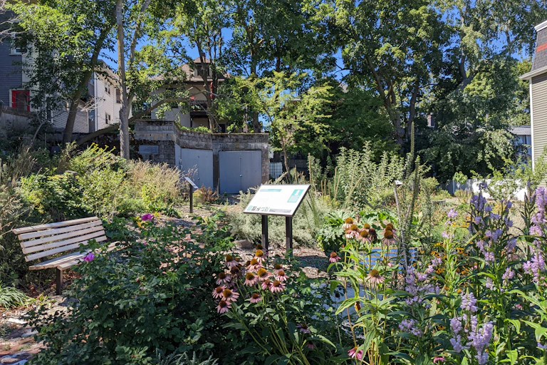 A bench surrounded by trees, bushes and flowers