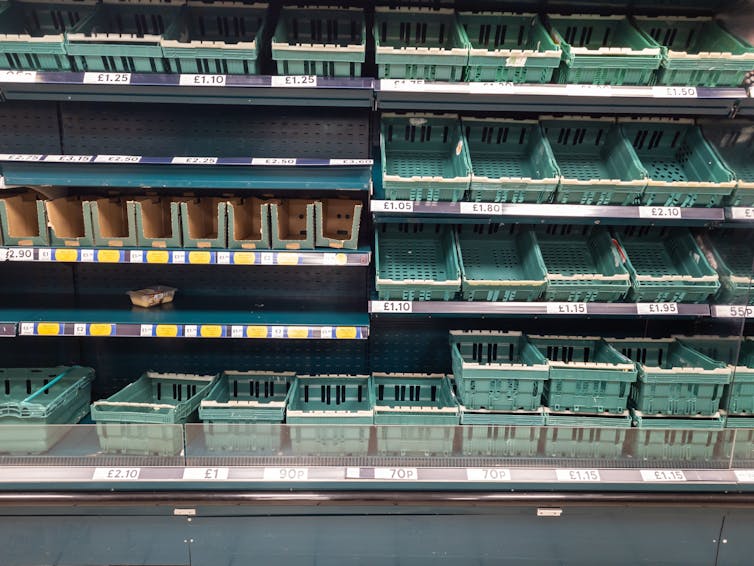 Empty green produce baskets lining supermarket shelves.