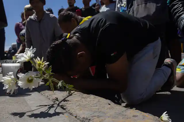 A man kneels in front of flowers.