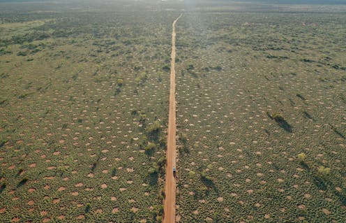 First Peoples' knowledge of 'mysterious fairy circles' in Australian deserts has upended a long-standing science debate