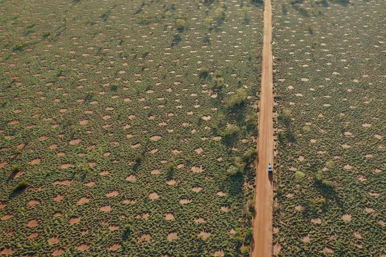 Drone photograph of fairy circles