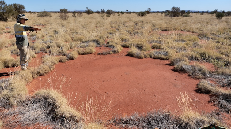 First Peoples' knowledge of 'mysterious fairy circles' in