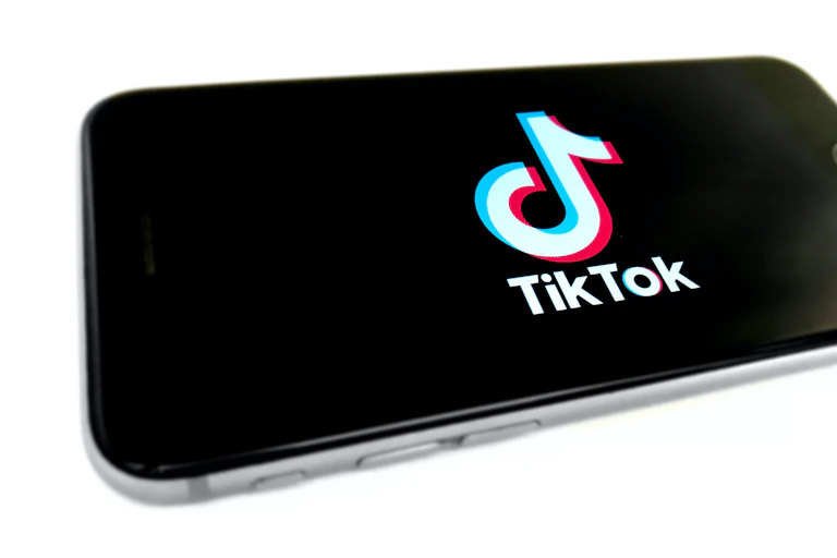 TikTok misinformation Indonesia 2024 election