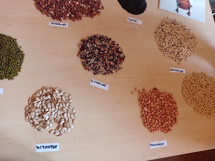 A display of seeds 
