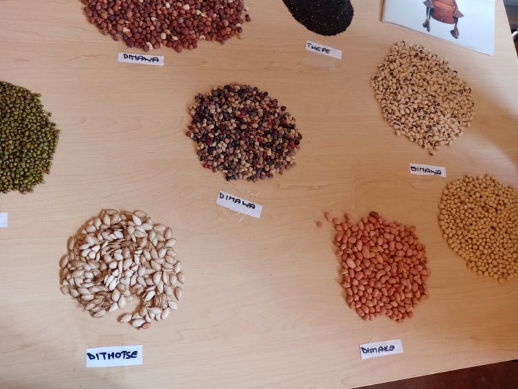 A display of seeds