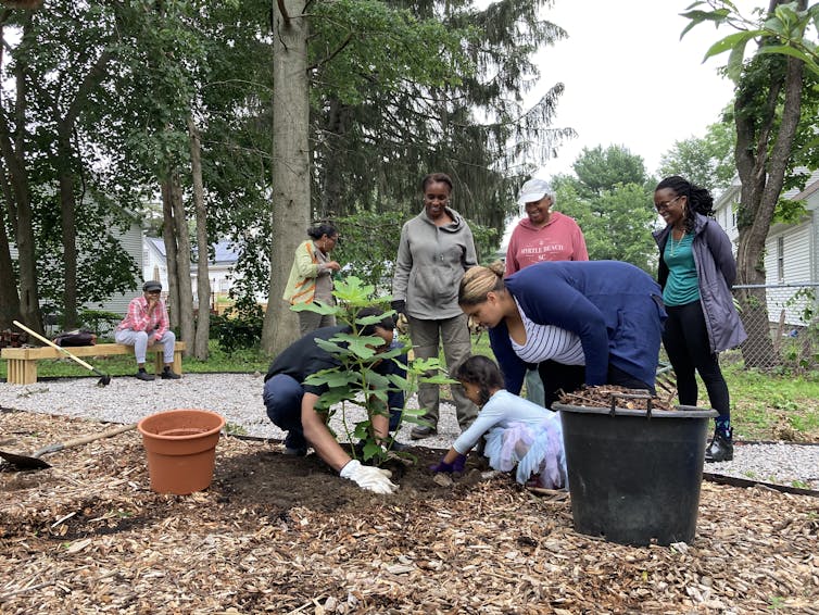 Two adults and a young girl plant a tree seedling in an urban park.