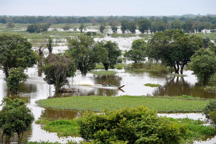 Two people in a motor boat move through a section of lake with trees and small islands of vegetation.