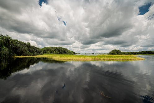 1001 alasan untuk peduli terhadap lahan gambut