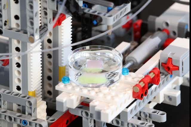 A petri dish containing a small pink square sits on a platform made out of Lego. The structure behind is is also made out of Lego. 