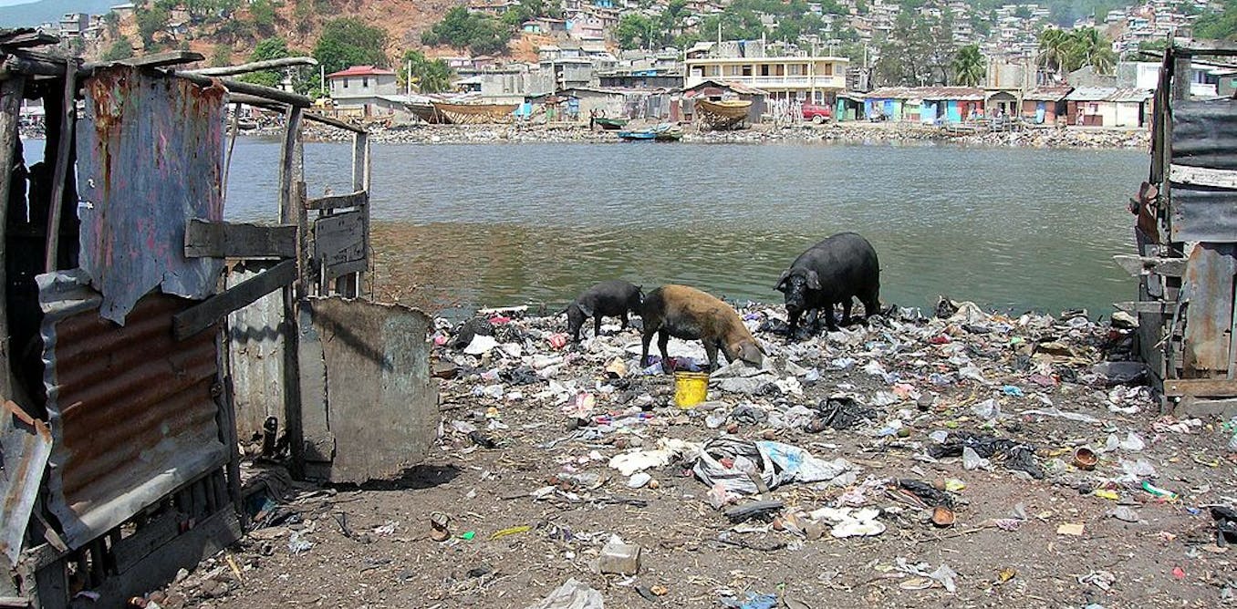 Open defecation and the grim health toll of being one of the world’s ...