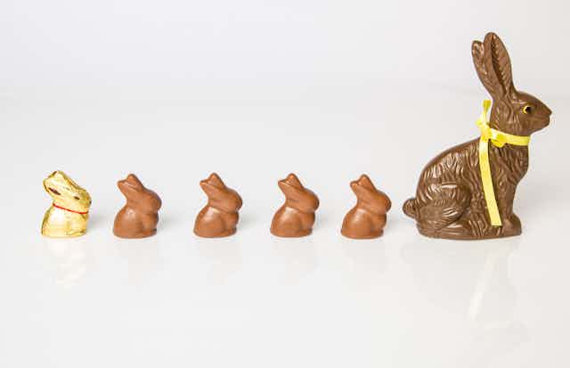 Five small and one large chocolate bunny
