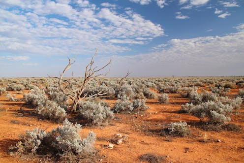 We found out when the Nullarbor Plain dried out, splitting Australia's ecosystems in half