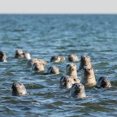 research topics in green energy