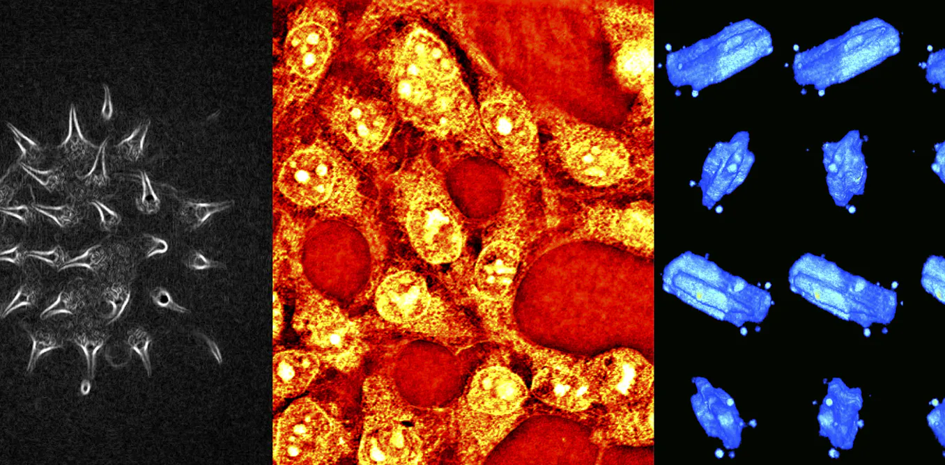 Vers un microscope optique universel « tout-en-un » ? Vers un microscope optique universel « tout-en-un » ?